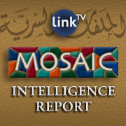 Mosaic Intelligence Report