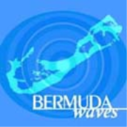 Bermuda - The Week in Review