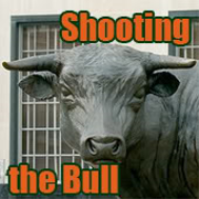Shooting The Bull