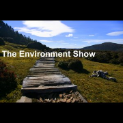 The Environment Show