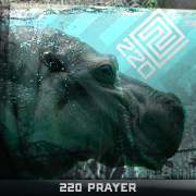 220 Prayer