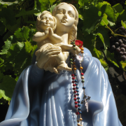 Praying the Rosary