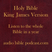 ABP - King James Version - One Hour A Day