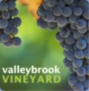 Valleybrook Vineyard Audio Sermons