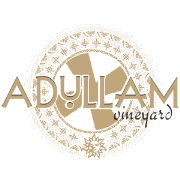 Adullam Vineyard Podcast