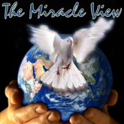 The Miracle View