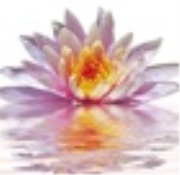 LifeDivine - Meditation-Spirituality-Yoga-Personal Development