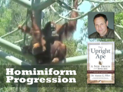 The Upright Ape: Hominiform Progression