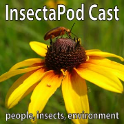 InsectaPod Cast