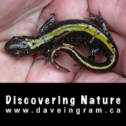 Discovering Nature | Natural History Walks