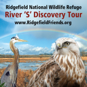 Ridgefield National Wildlife Refuge