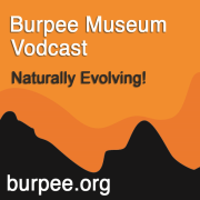 BurpeeMuseum Vodcast