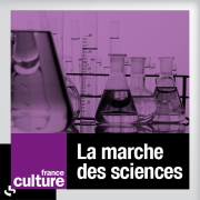 France Culture - LA MARCHE DES SCIENCES