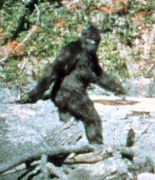 BigFoot Live 