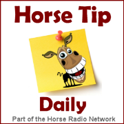 Horse Tip Daily » All Daily Tips
