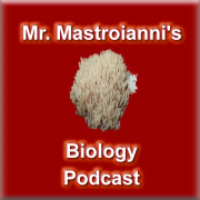 Mr. Mastroianni's AP ® Podcast