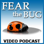 Fear the Bug Video Podcast (HD)