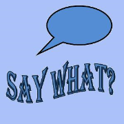 Say What? | Blog Talk Radio Feed