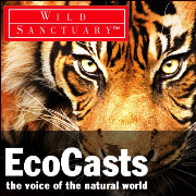  EcoCasts from Wild Sanctuary 