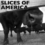 Slices of America Podcast