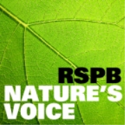 Nature's Voice
