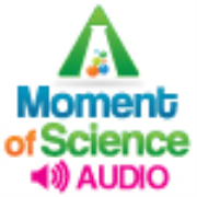 A Moment of Science: Audio Podcast