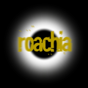 Roachia: Death of a Hero