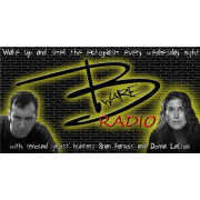 B Ware Radio with hosts Brian Harnois and Donna Lacroix | Blog Talk Radio Feed