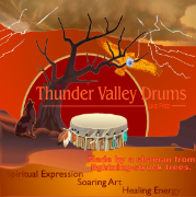 Shaman Drums, The Rhythm and Sound of Healing