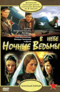 В небе «ночные ведьмы»