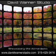 David Warner Studio
